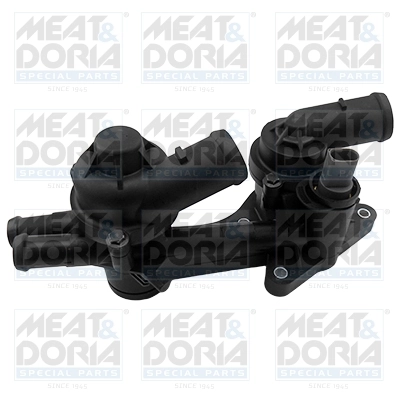 Thermostat, coolant